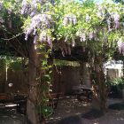 Accommodation in Makhado Louis Trichardt | Guesthouse with well-appointed en-suite Bedrooms and Meals, plus a Beautiful Wedding and Function Venue