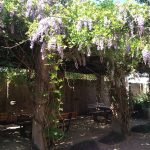 Accommodation in Makhado Louis Trichardt | Guesthouse with well-appointed en-suite Bedrooms and Meals, plus a Beautiful Wedding and Function Venue
