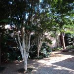 Accommodation in Makhado Louis Trichardt | Guesthouse with well-appointed en-suite Bedrooms and Meals, plus a Beautiful Wedding and Function Venue