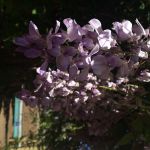 Accommodation in Makhado Louis Trichardt | Guesthouse with well-appointed en-suite Bedrooms and Meals, plus a Beautiful Wedding and Function Venue