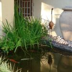 Accommodation in Makhado Louis Trichardt | Guesthouse with well-appointed en-suite Bedrooms and Meals, plus a Beautiful Wedding and Function Venue